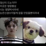 [BTOB] 이거 창섮 <b>존</b>똑