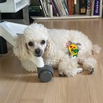 [더보이즈] 털쪘다는 <b>표현</b>이 왤케 귀엽지