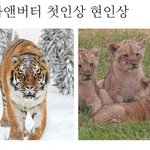 스우파 개웃긴점