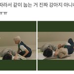 [NCT정우] <b>형아</b> 따라 눕는 강아지