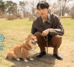 촬영장에 반려견 데리고 다니는 배우
