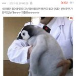 김피탕 먹어본사람??