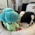 [드루와] 나 폰 팔 건데 얼마 나오려나