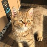 [댓글부탁해] 분캠 인식 <b>별로</b><b>라</b> 생각했었는데