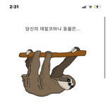 너네 이거 뭐 나왔어?