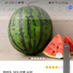 쿠팡에서 수박 <b>사본</b>사람