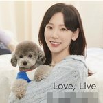 태연 광고 올해 되게 많이 찍은듯