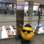 [방탄소년단] 나 짐니봐따