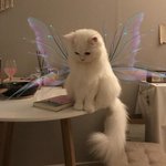 솔직히 카이스트 지방대라서 개지잡<b>대임</b>ㅋㅋ