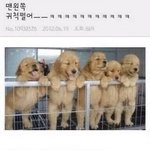 [NCT드림] 맨 오른쪽 귀척 쩔어