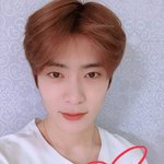 <b>재현</b>