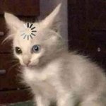 [드루와] 근데 ㅂㅌ ㅂ <b>모발</b>의식 한거 아녔어..?