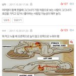 가정<b>학습</b> 쓰는애들아