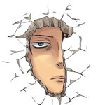 리바이 짤털해줘