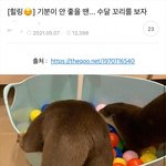낼 <b>졸사</b>찍는다..