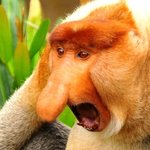 실베 꼬라지를 본 <b>채령</b>이의 표정