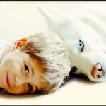 붙어 있으면 자체 힐링 되는 <b>투</b> <b>샷</b>