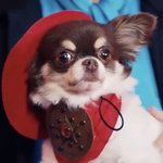 [NCT칠프] 강아<b>쥐</b> 너무 귀여워