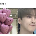 [스키즈] 근데 찬이보블