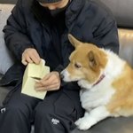 몽<b>룡이</b>가 아니라 돼<b>룡</b>이네
