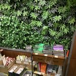 [NCT칠프] 천호 핫트 줄1도 없음