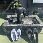 [댓글부탁해] 이거 어디서 파는지 아시는분ㅠ강아지가 <b>조아</b>해서 ㅠㅠ
