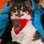 [NCT칠프] <b>용맹</b>한 말랭이