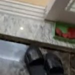 댕댕이신발도 <b>진열</b>해놓은거봐