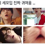[방탄소년단] <b>울집</b> 냥이 입볼래