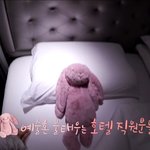 블핑 지수 이 <b>인형</b> 어디서 샀는지 아는분...