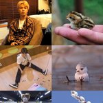 [방탄소년단] 어디 삐약이 <b>소리</b> 안들리냐