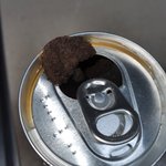 [댓글부탁해] 약혐)핫식스 방치해뒀는데 <b>버섯</b> 생김;;;