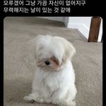 학교에서 신을 슬리퍼 좀 추천해줘