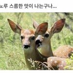 혹시 햄버거 잘 아는 초능력자...