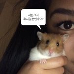 비계팅 친추 걸다 <b>블락</b> 당한거 봄