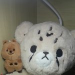 [NCT칠프] 왕타리  요기있당