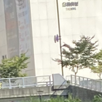 [개깊은빡침] 강아지를 <b>뺑소니범</b>이 치고 도망갔어요.