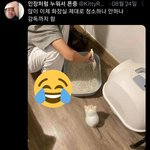 <b>홍염</b>살 있잖아