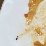 [댓글부탁해] 얘들아 나 밥 시켜먹었는데이거 벌레냐??