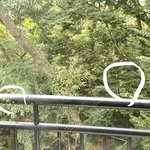 [댓글부탁해] 약혐)우리집이 타란튤라있음ㅋㅋㅋㅋㅋㅋ
