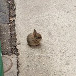 [19] 오징어게임 mbti 유추해봄