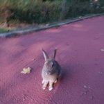 [댓글부탁해] 네이트 판은  페미 <b>조작</b>에  놀아나고 있다