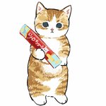 검사 받았는데 자가<b>격리</b> 하란 말 안했으면