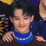 [NCT칠프] 우리 고양이 비타민 잘챙겨먹으렴