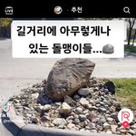 틱톡 <b>남</b><b>잼</b>들 댓글 페북화 돼고있어
