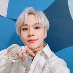 [NCT칠프] 이 <b>강쥐</b> ㅜㅠ