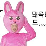 [스키즈] 오늘뭔가 <b>도미노</b> 뮤비뜰듯