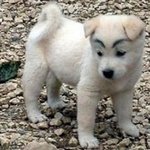 아 나 진짜 안예쁜것만 물려받음