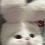 너희 배터리 <b>성능</b> 상태 몇%임?