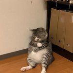 [댓글부탁해] 너네만 오글거리는거 있냐